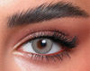 Picture of GRAY OLIVE