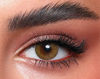 Picture of SILKY GOLD